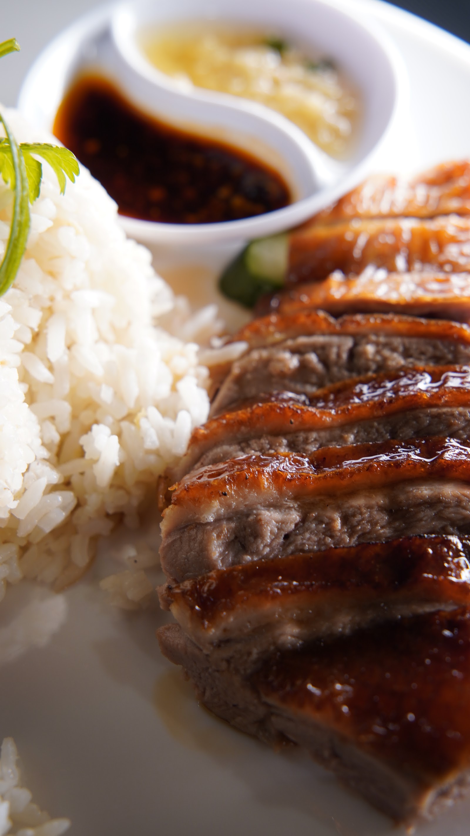Roasted Duck Rice